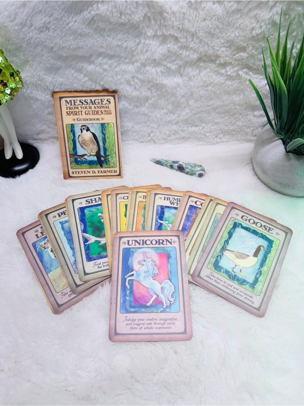 Animal Spirit Guide Oracle Deck by John D Farmer Plus 3.5” Ruby In Fuchsite Wand - Picture 1 of 5